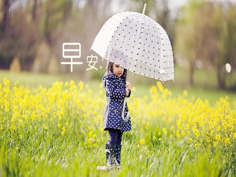 试管P4试管独苗苗好难胸外试管治疗